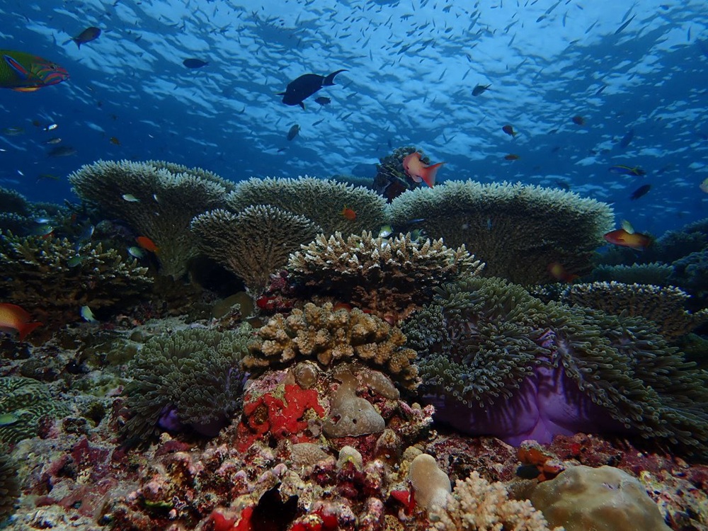 an cover image of blog post
