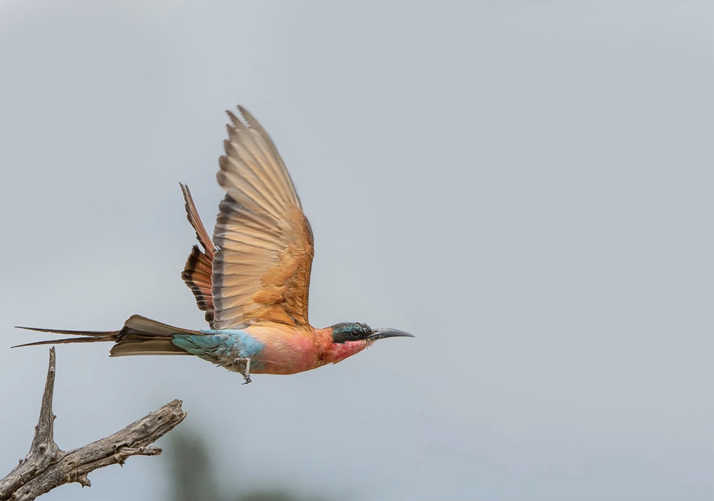 an cover image of blog post