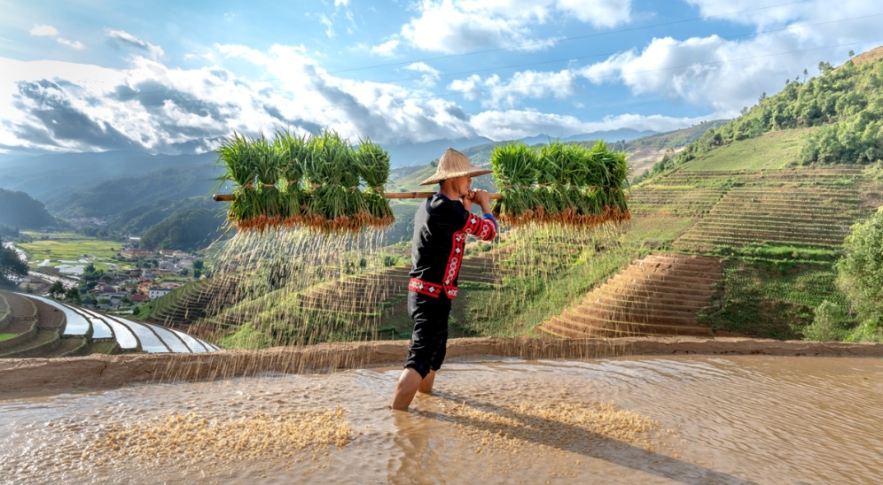 an cover image of blog post