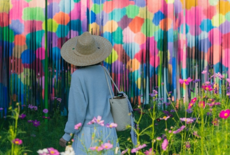 an cover image of blog post